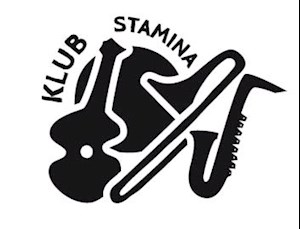 Logo Stamina
